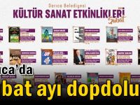 Darıca’da Şubat ayı dopdolu