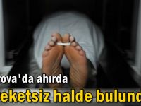 Ahırda hareketsiz halde bulundu!