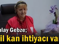 Kızılay Gebze; 'Acil kan ihtiyacı var'