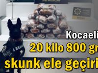 Kocaeli'de  20 kilo 800 gram skunk ele geçirildi