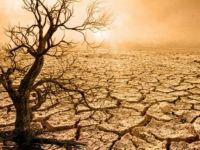 MGM açıkladı: Kocaeli olağanüstü kuraklık tehlikesiyle karşı karşıya