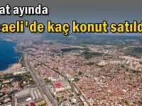 Şubat ayında Kocaeli'de kaç konut satıldı?