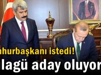 Cumhurbaşkanı istedi! Hülagü aday oluyor