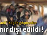 Kaçak göçmenler sınır dışı edildi!