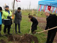 Azerbaycan ve Türkiye Kardeşliği Ormanına Haydar Aliyev’in anısına 100 fidan