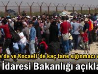 Türkiye’de ve Kocaeli'de kaç tane sığınmacı var?