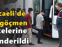 Kocaeli'de 98 kaçak göçmen sınır dışı edildi