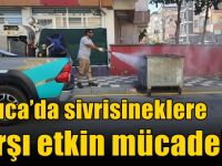 Darıca’da sivrisineklere karşı etkin mücadele