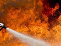 Kocaeli'de ormanlık alanda yangın!