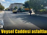 Darıca Aşık Veysel Caddesi asfaltlandı