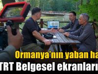 Ormanya’nın yaban hayatı TRT Belgesel ekranlarında