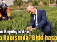 Başkan Büyükgöz’den “Şifa Kapısında” Bitki hasadı