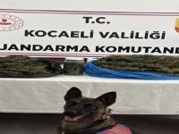 Kocaeli'de uyuşturucu operasyonu!