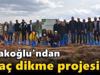 Çolakoğlu Metalurji “Her Bin Ton Bir Ağaç” Projesiyle Geleceğe Yeşil Bir Miras Bırakıyor