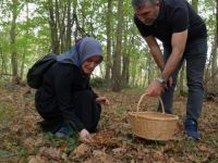 Ormanya’da mantar avı düzenlendi