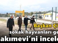 Çiftçi, Sokak Hayvanları Geçici Bakımevi’ni inceledi