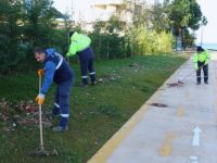 Büyükşehir, fırtınanın izlerini siliyor