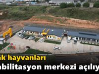 Sokak hayvanları rehabilitasyon merkezi açılıyor