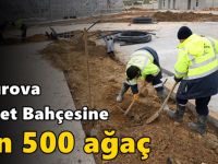 Çayırova Millet Bahçesine bin 500 ağaç