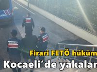 Firari FETÖ hükümlüsü Kocaeli’de yakalandı!