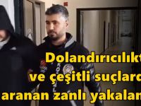 Dolandırıcılıktan ve çeşitli suçlardan aranan zanlı yakalandıktan sonra serbest bırakıldı!