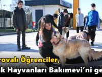 Öğrenciler, Sokak Hayvanları Bakımevi’ni gezdi