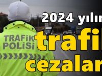 2024 yılının trafik cezaları!