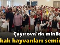 Miniklere sokak hayvanları semineri