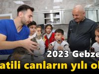 2023 Gebze’de Patili  Canların Yılı Oldu