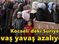 Kocaeli’deki Suriyeliler yavaş yavaş azalıyor!