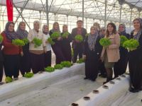 Topraksız tarım projesine kadın çiftçilerden yoğun ilgi