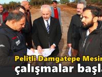 Pelitli Damgatepe Mesire’de çalışmalar başladı