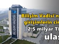 Bilişim Vadisi'ndeki girişimlerin cirosu, 2.5 milyar TL’ye ulaştı