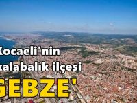 Kocaeli'nin en kalabalık ilçesi 'GEBZE'