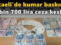 Kocaeli'de kumar baskını! 25 bin 700 lira ceza kesildi