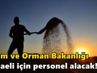 Tarım ve Orman Bakanlığı Kocaeli için personel alacak!