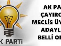 AK Parti Çayırova Meclis listesi