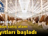 Gebze’de kurban satış  alanı kayıtları başladı