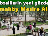 Gebzelilerin yeni gözdesi; Cumaköy Mesire Alanı