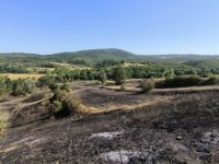 Yangında zarar gören çiftçilere gübre ve tohum desteği