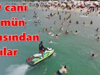 KOSKEM’in hayat nöbeti devam ediyor