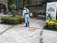 Saygınlar Kulübü’nde kapsamlı bahar temizliği