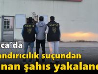 Darıca’da Dolandırıcılık Suçundan Aranan Şahıs Yakalandı