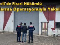 Kocaeli’de Firari Hükümlü Jandarma Operasyonuyla Yakalandı
