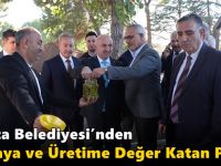 DARICA BELEDİYESİ- GEBZE TEKNİK ÜNİVERSİTESİ İŞBİRLİĞİNDE İLK ZEYTİN HASADI GERÇEKLEŞTİ