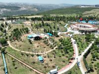 Kocaeli’nin dört bir yanı yeşile bürünüyor