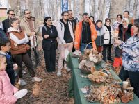 Kuzuyayla’da mantarların gizemli dünyası keşfedildi