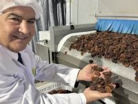 Türk organik sektörü, Çin’le iş birliklerini artırmak istiyor