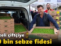 Gebzeli çiftçiye 500 bin sebze fidesi