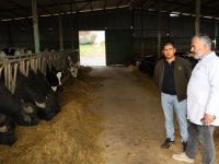 Kocaeli’de manda sayısı Büyükşehir’in desteğiyle artıyor